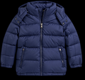 HORSE PUFFER- SUPPLIER